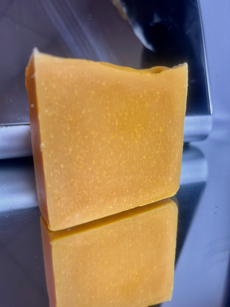Plant Based Body Soap
